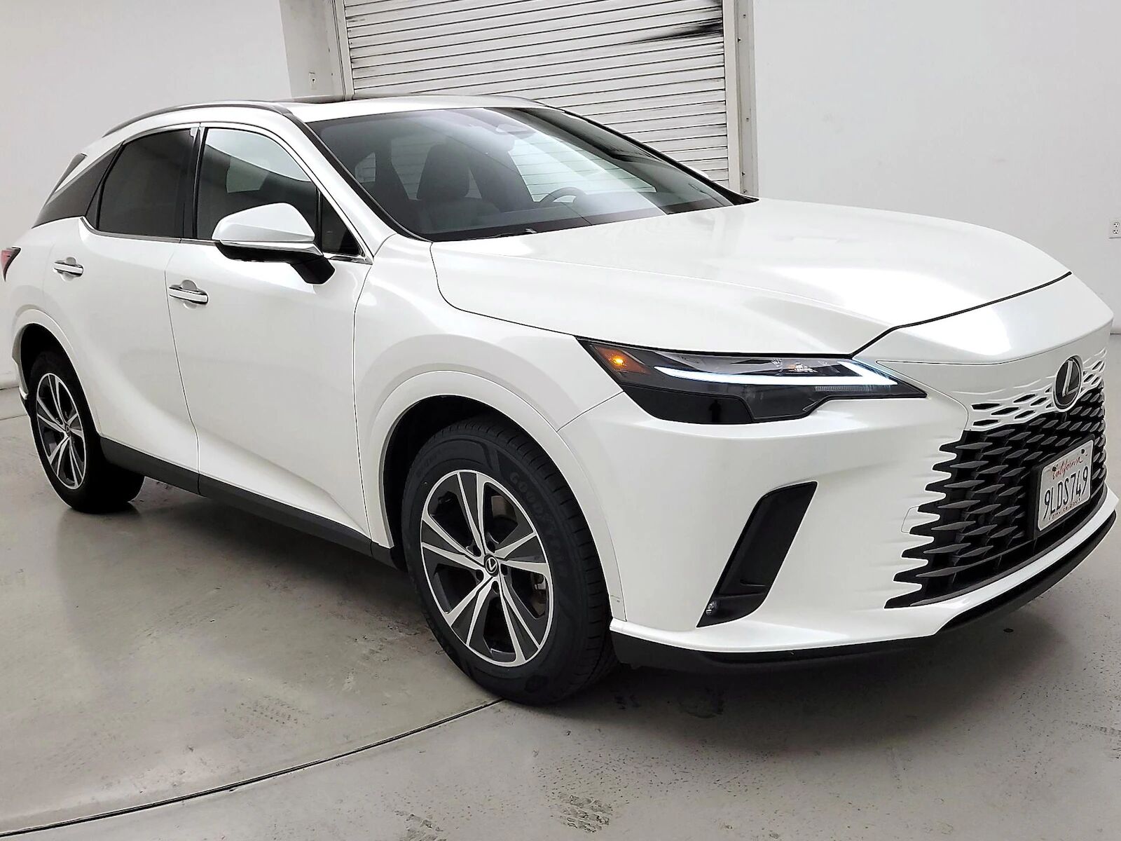 2024 LEXUS RX