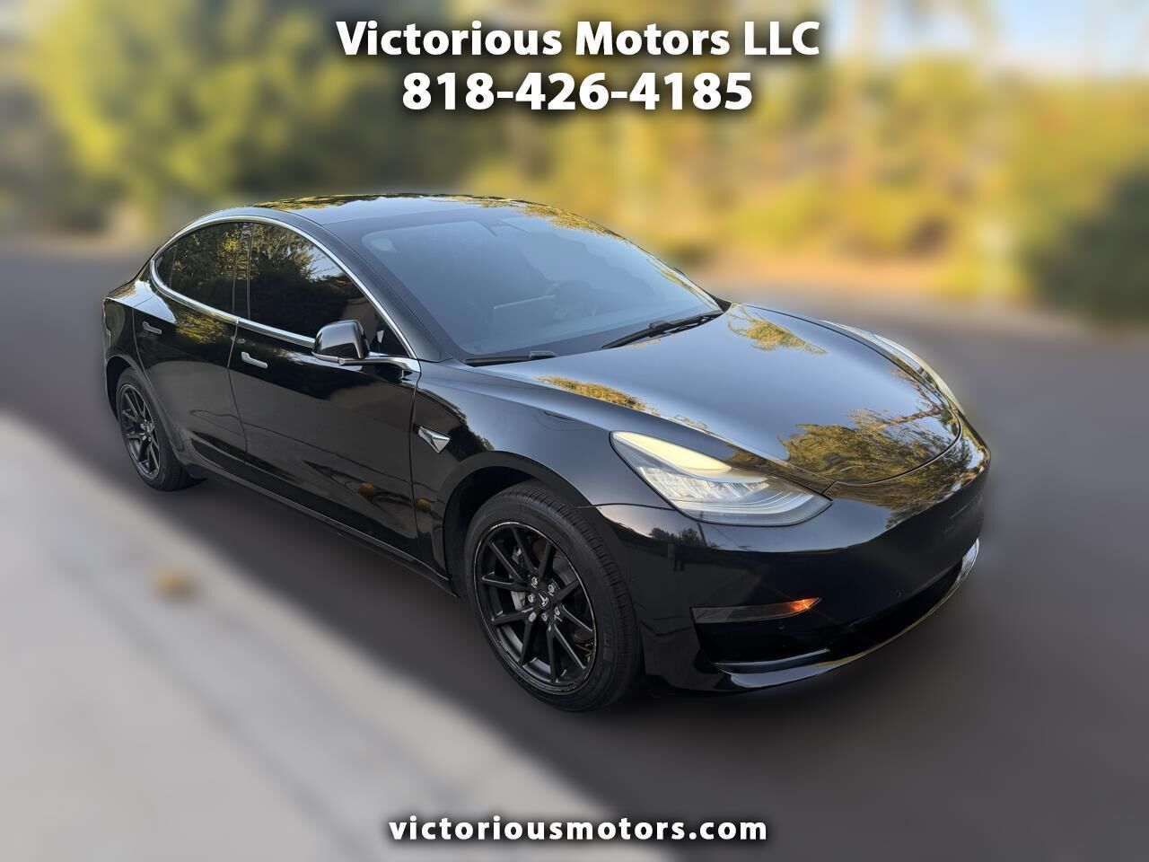 2019 TESLA Model 3