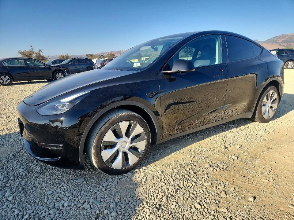 2024 TESLA Model Y