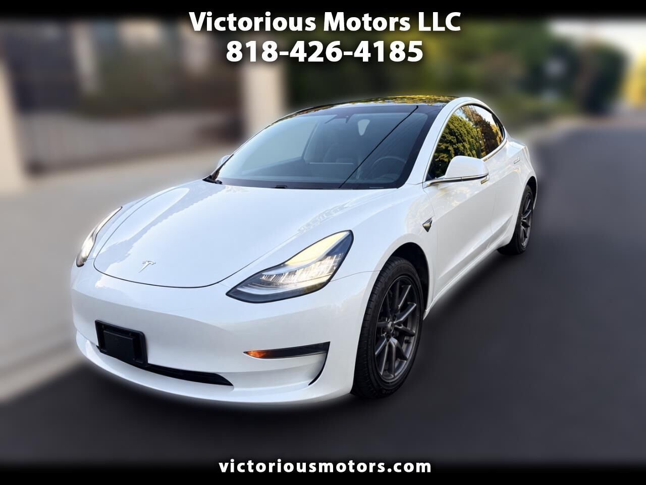 2019 TESLA Model 3