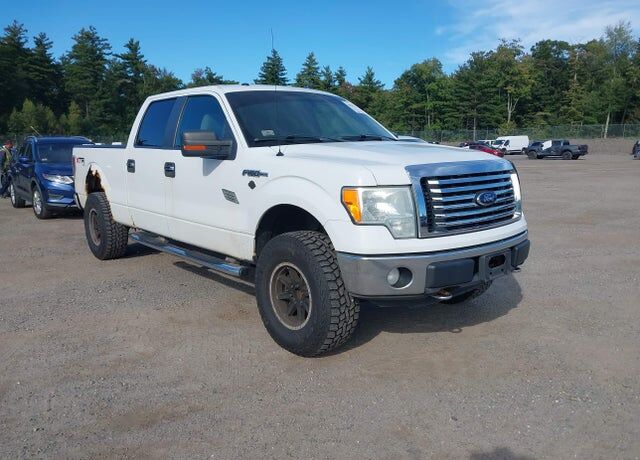 2010 FORD F-150