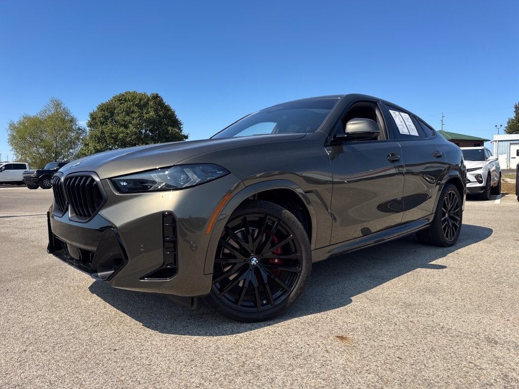 2024 BMW X6
