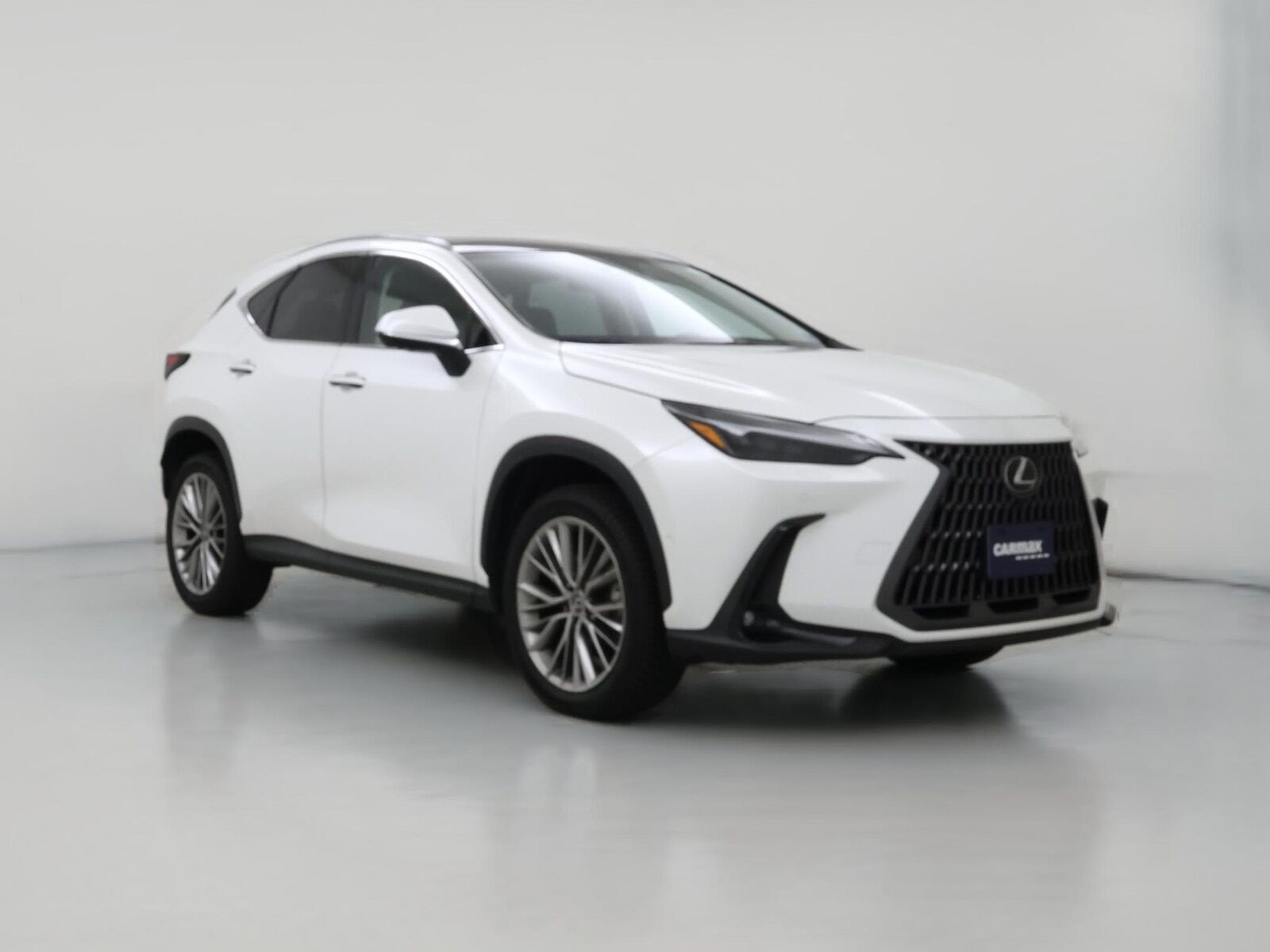 2024 LEXUS NX