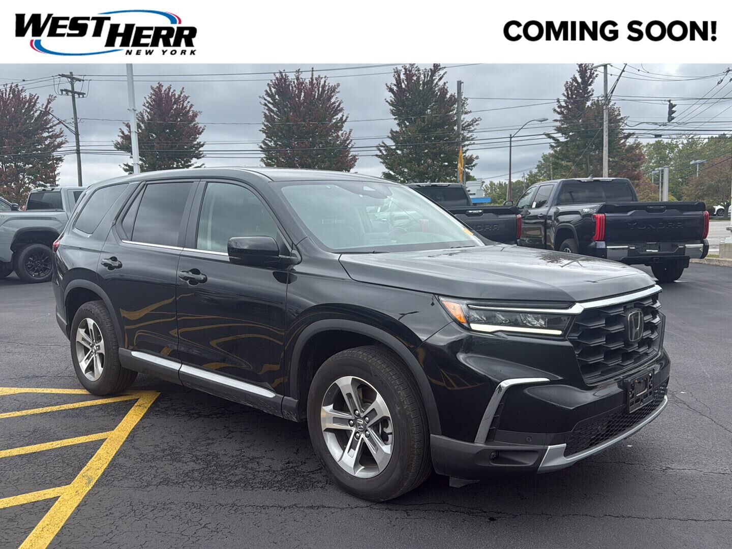 2025 HONDA Pilot