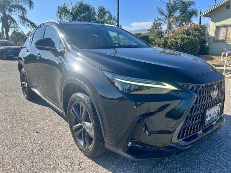 2024 LEXUS NX