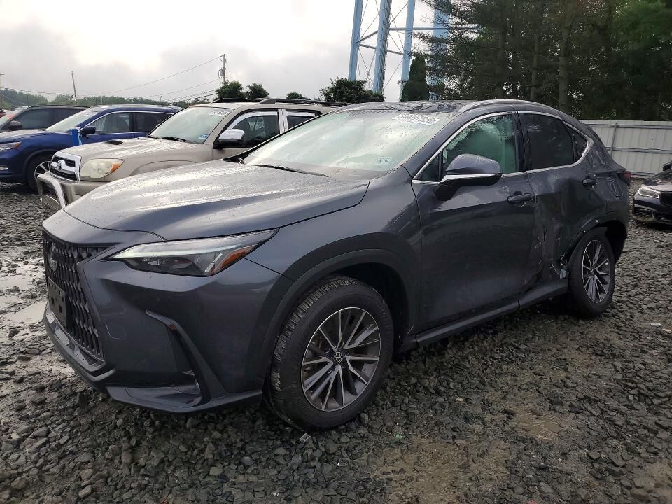 2025 LEXUS NX