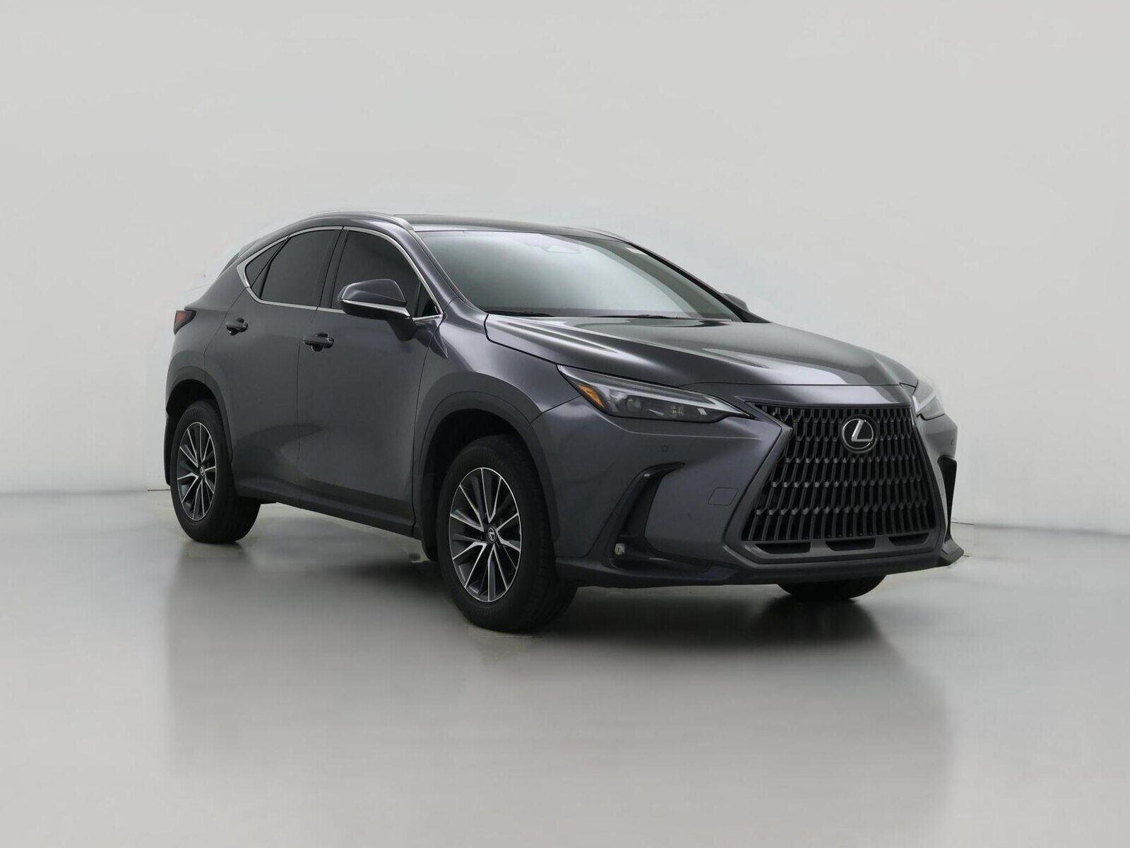 2025 LEXUS NX