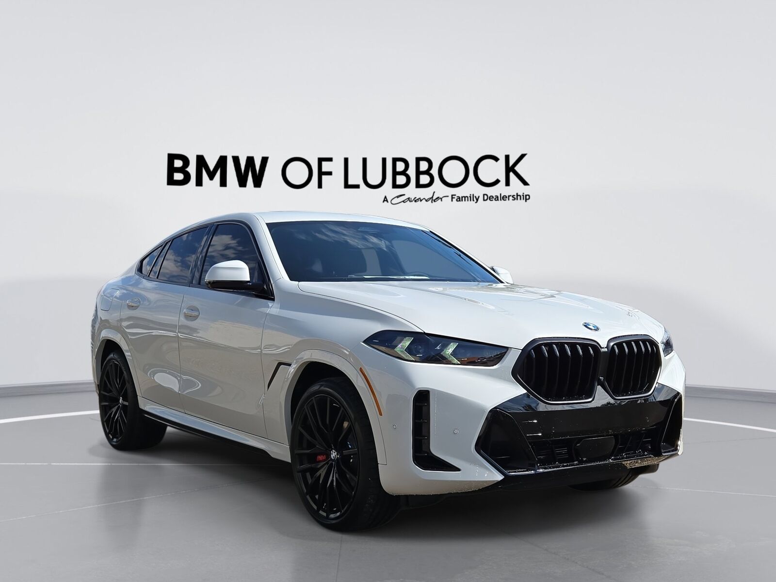 2027 BMW X6