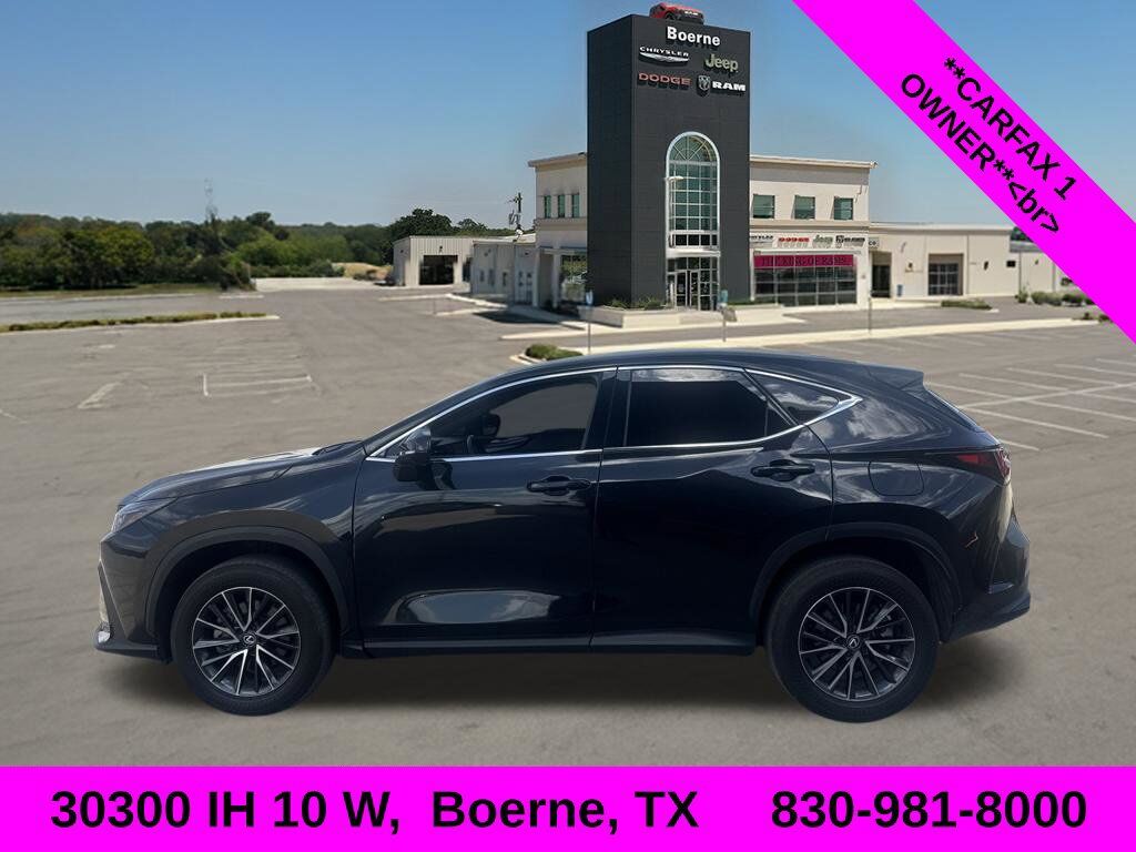 2024 LEXUS NX
