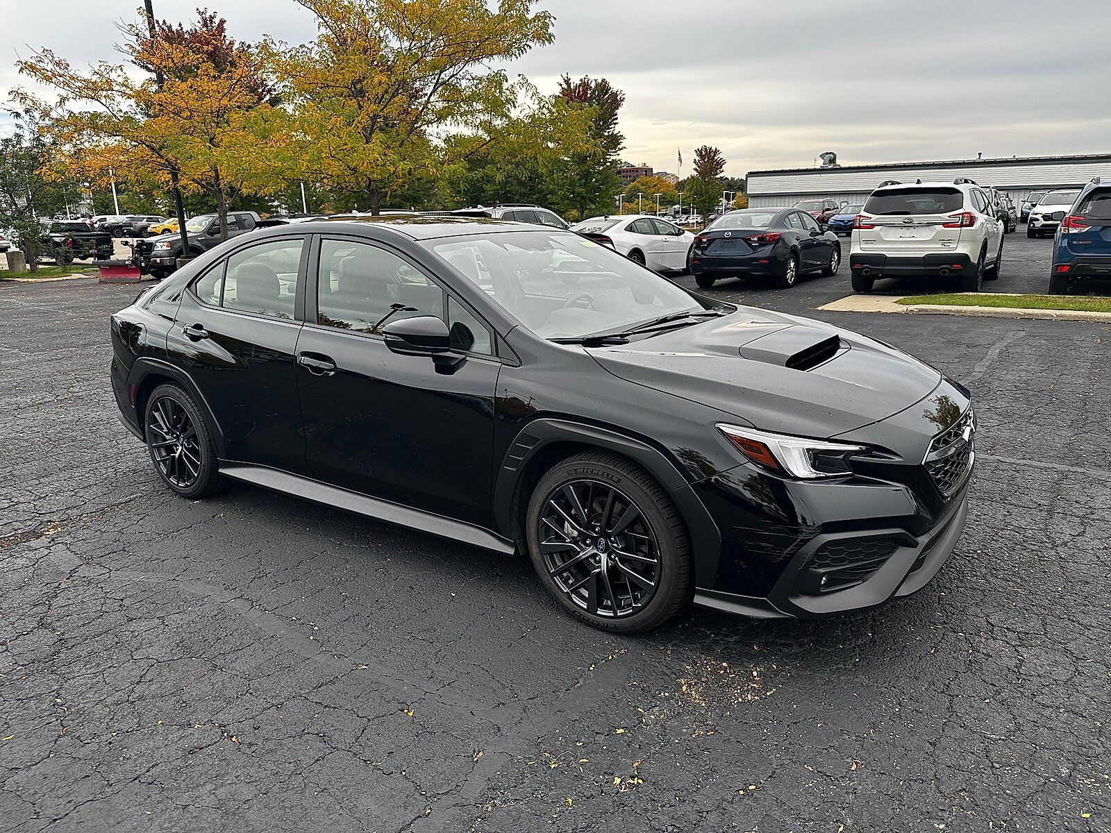 2022 SUBARU WRX