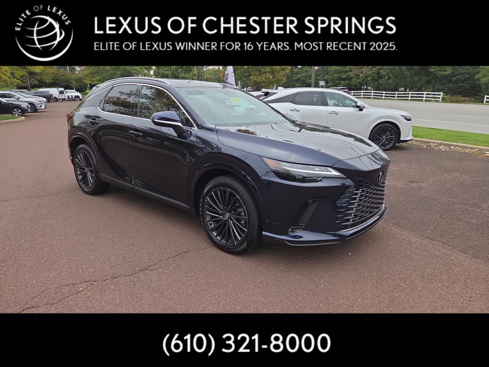 2025 LEXUS RX