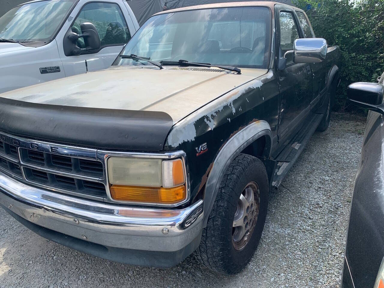 1996 DODGE Dakota