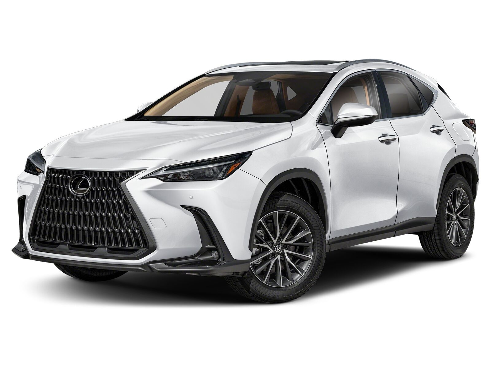 2026 LEXUS NX