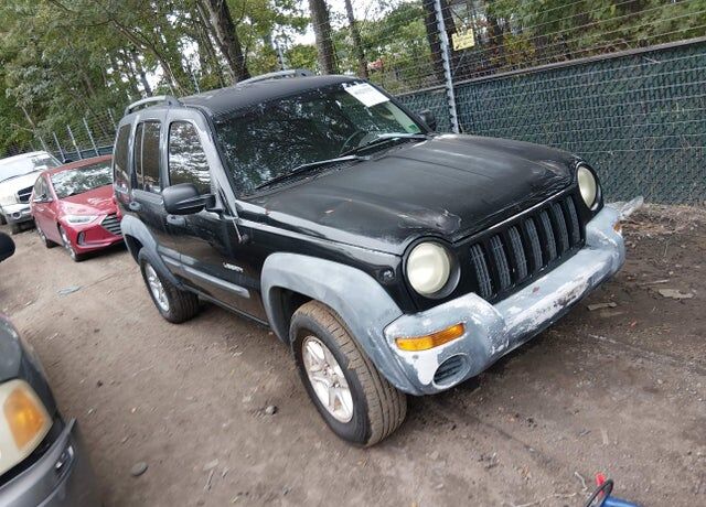 2004 JEEP Liberty