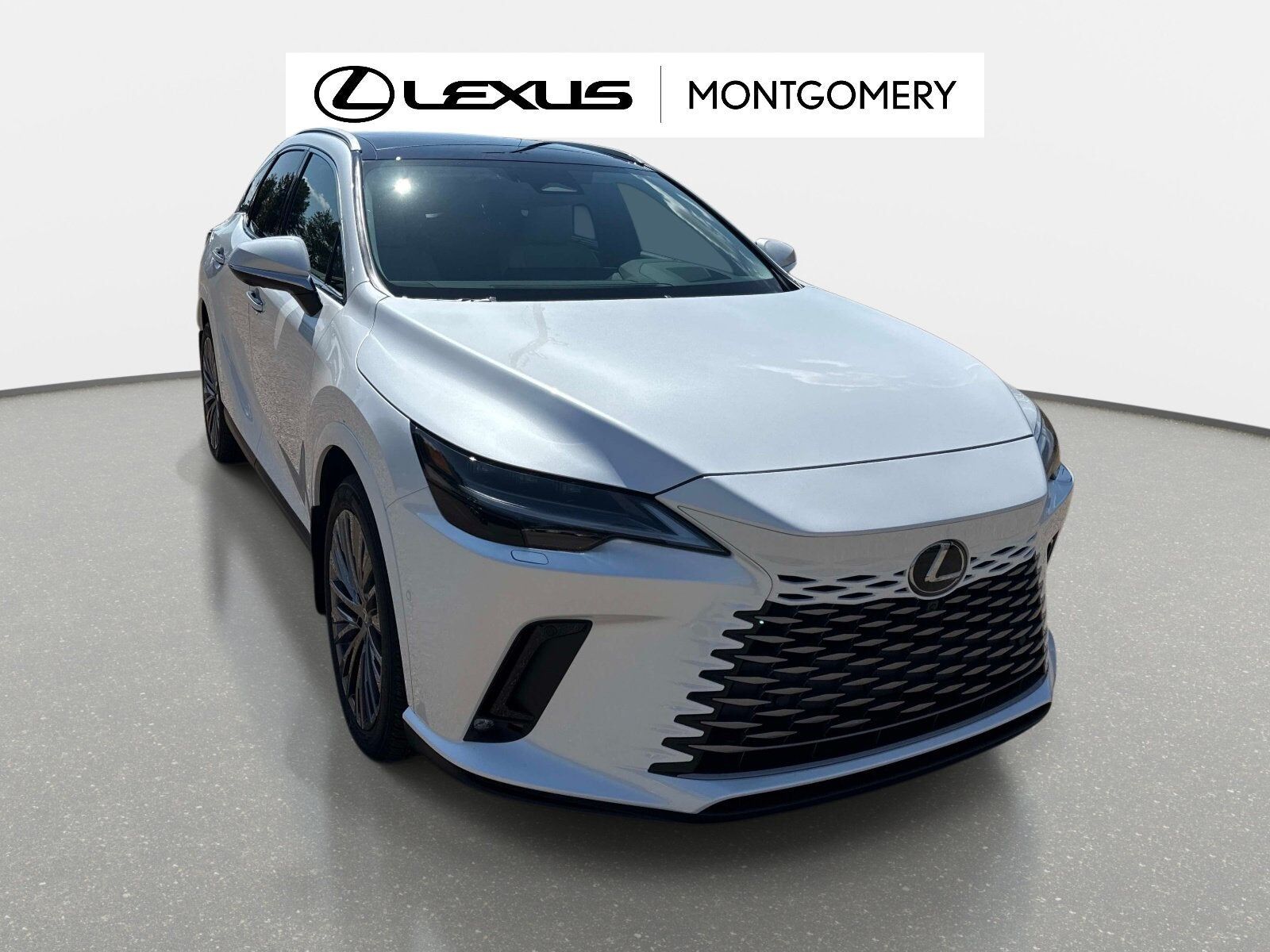 2026 LEXUS RX
