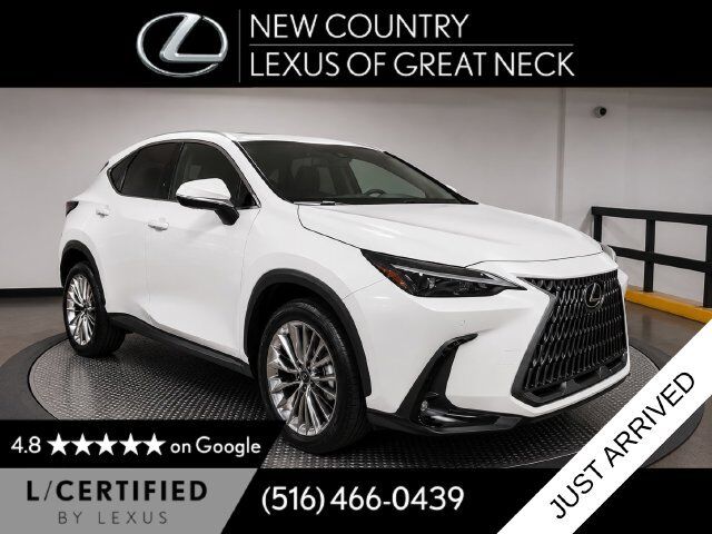 2022 LEXUS NX