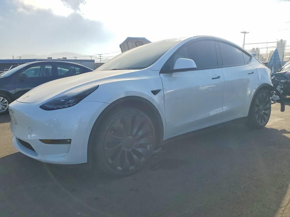2025 TESLA Model Y