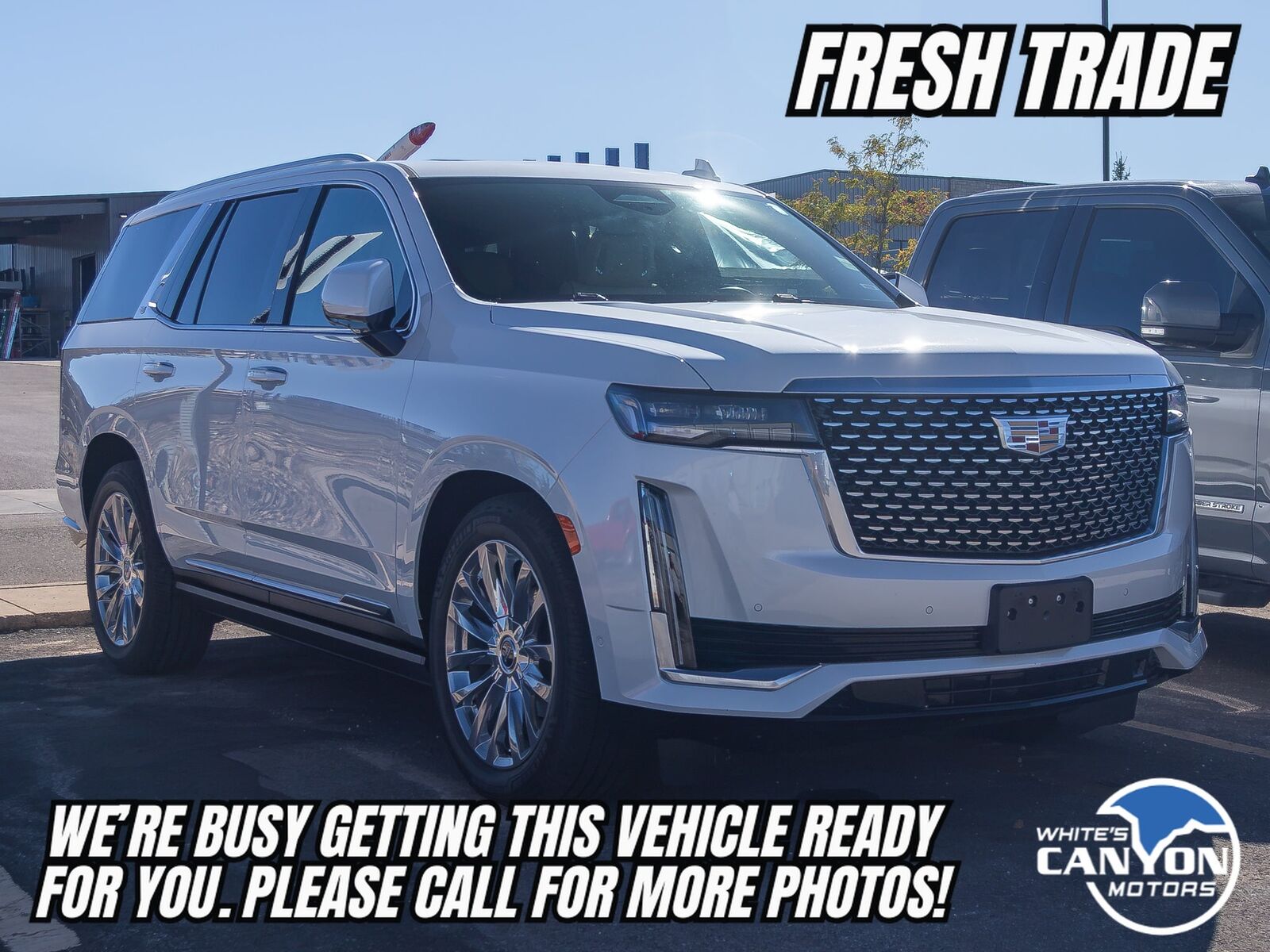 2024 CADILLAC Escalade