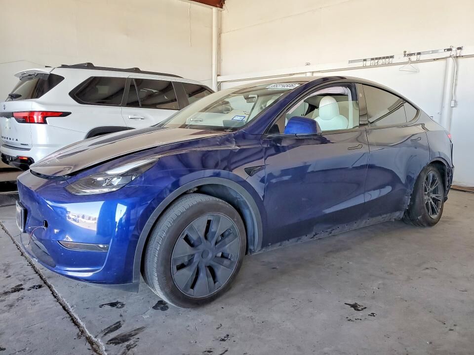 2025 TESLA Model Y