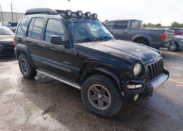 2004 JEEP Liberty