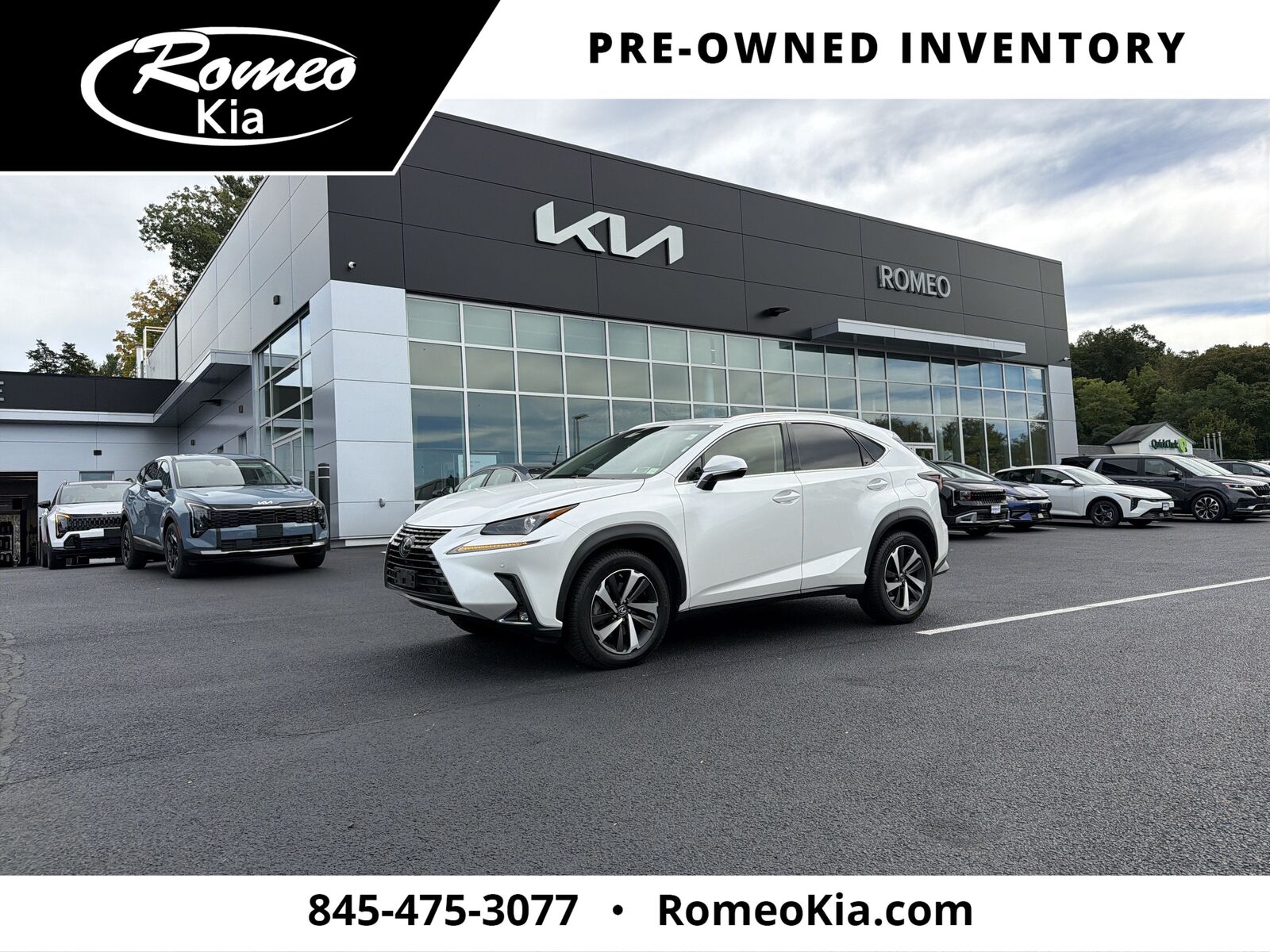 2019 LEXUS NX
