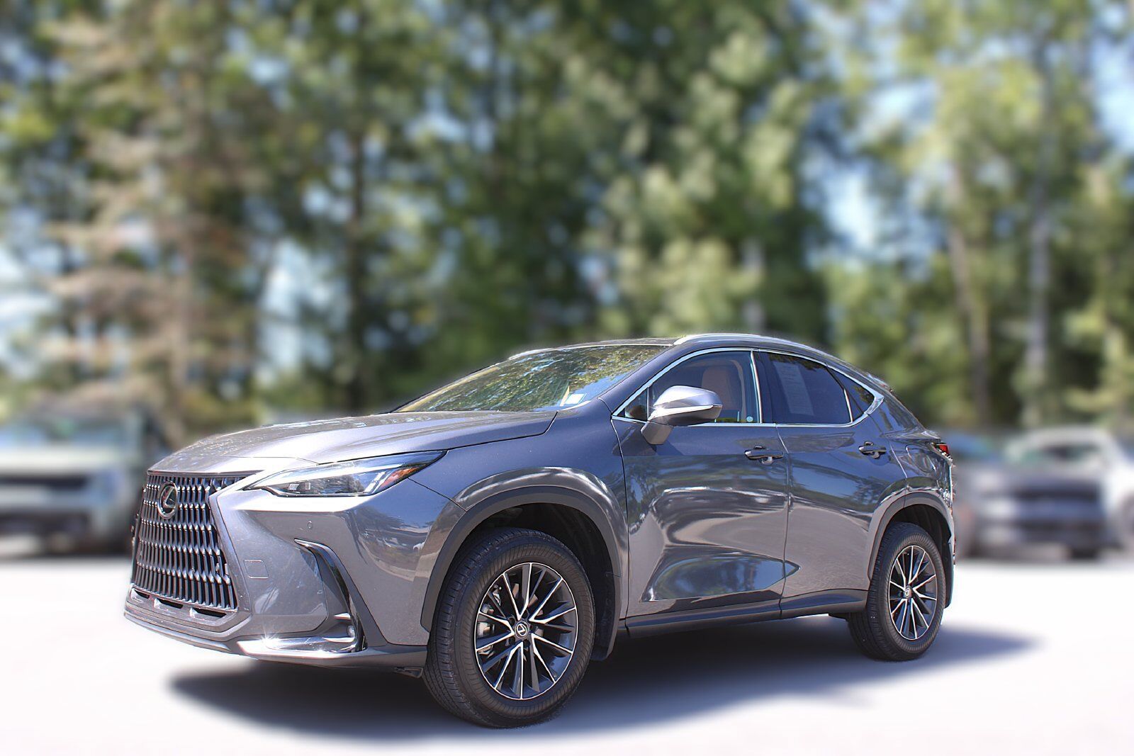 2022 LEXUS NX