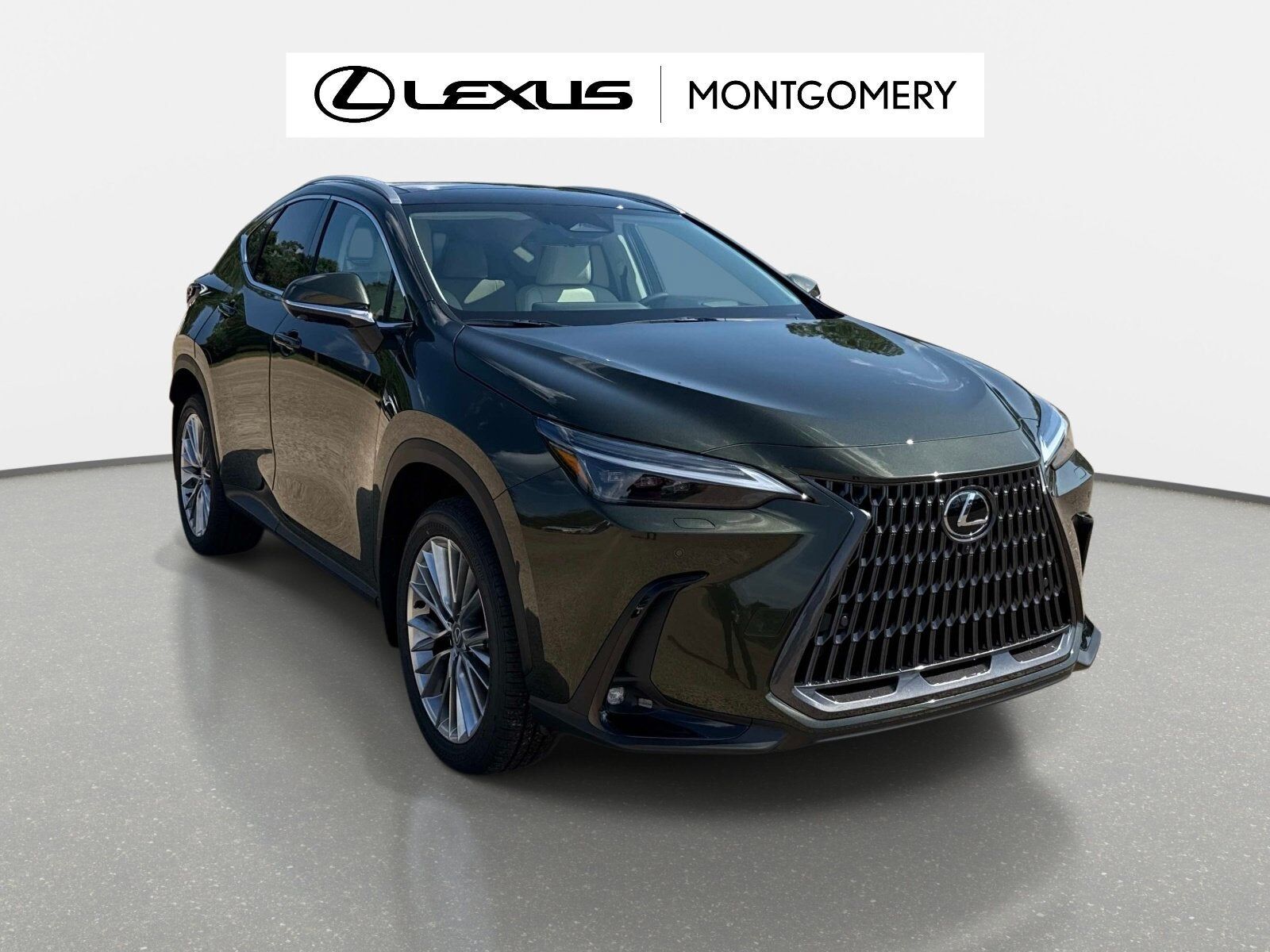2026 LEXUS NX