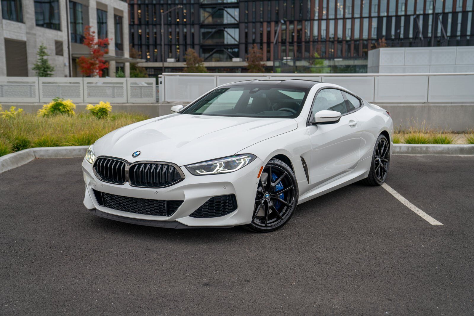 2019 BMW 8 Series