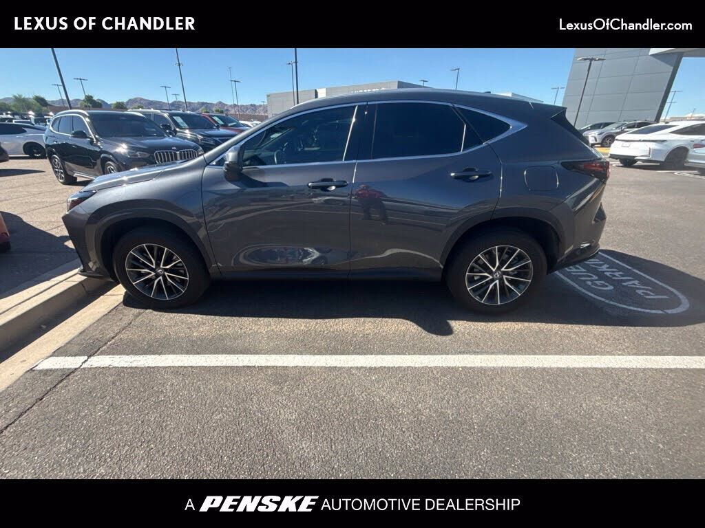 2024 LEXUS NX