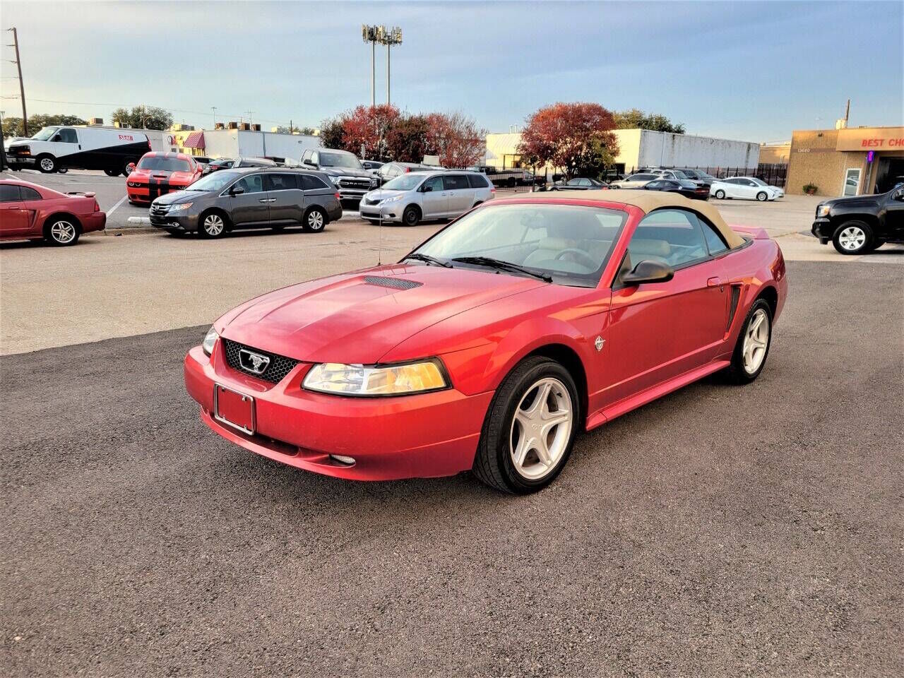 1999 FORD Mustang