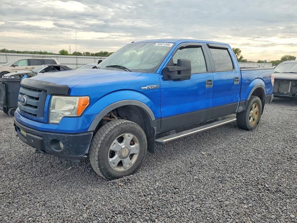 2010 FORD F-150