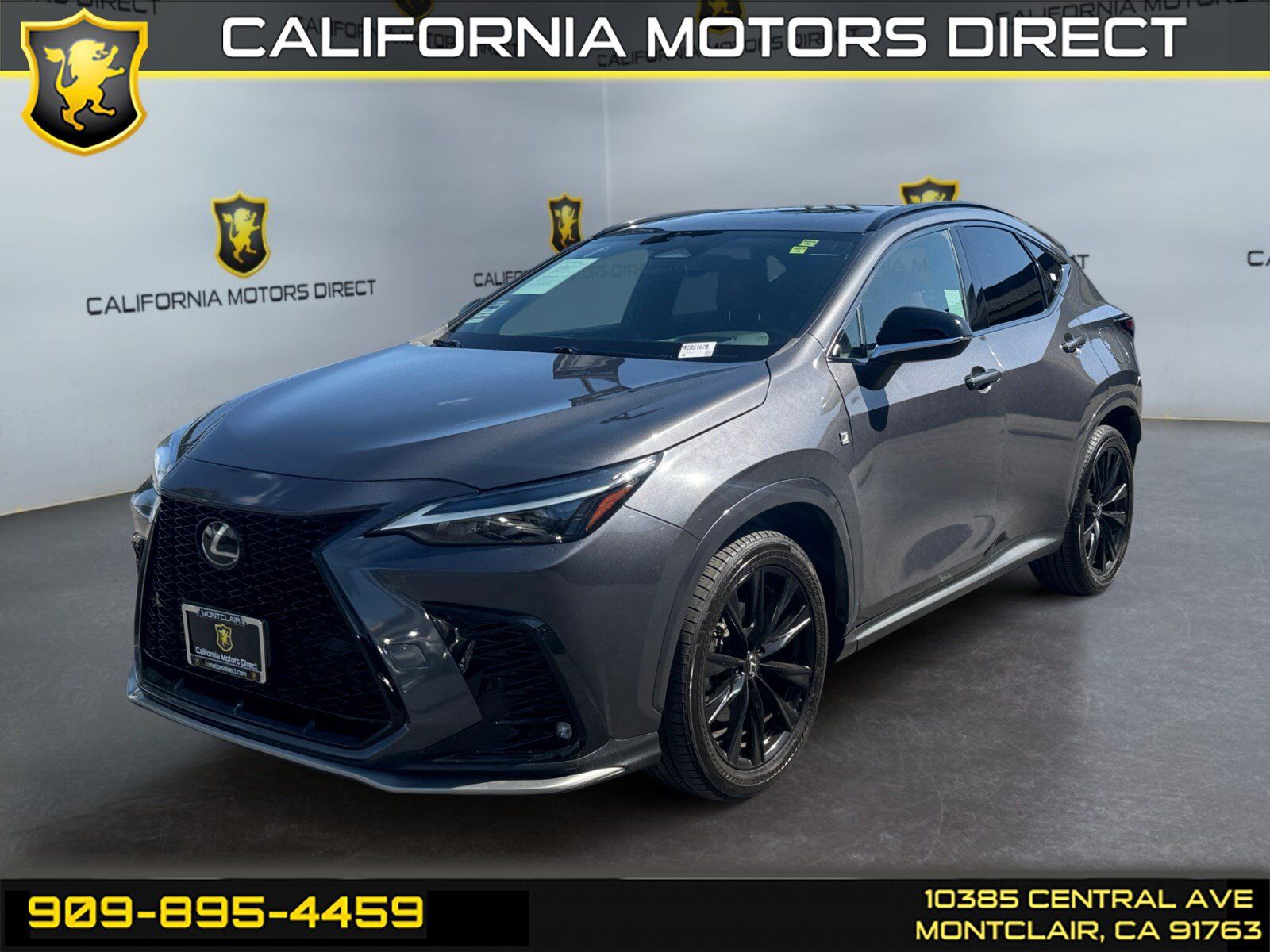 2024 LEXUS NX