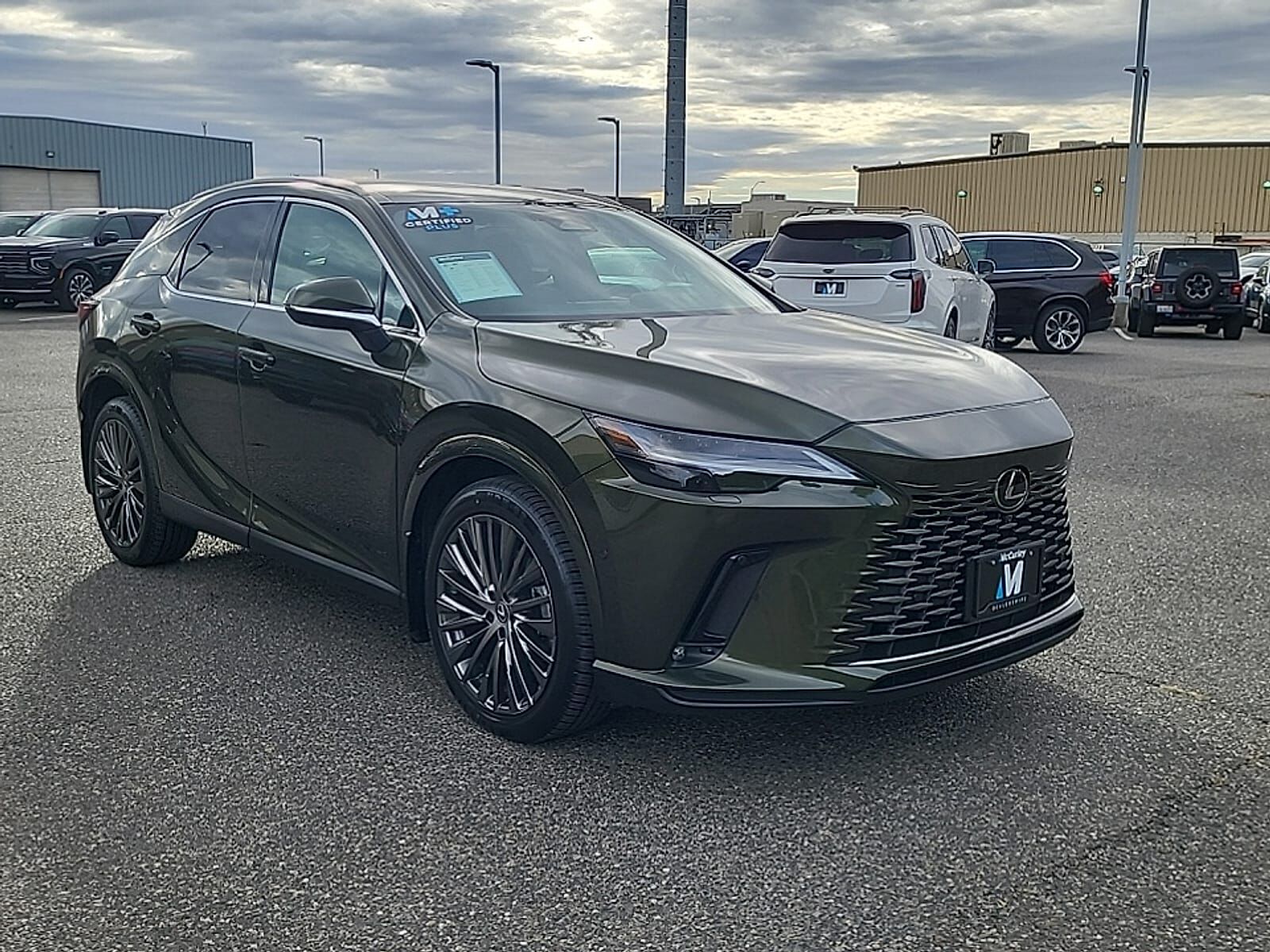 2024 LEXUS RX