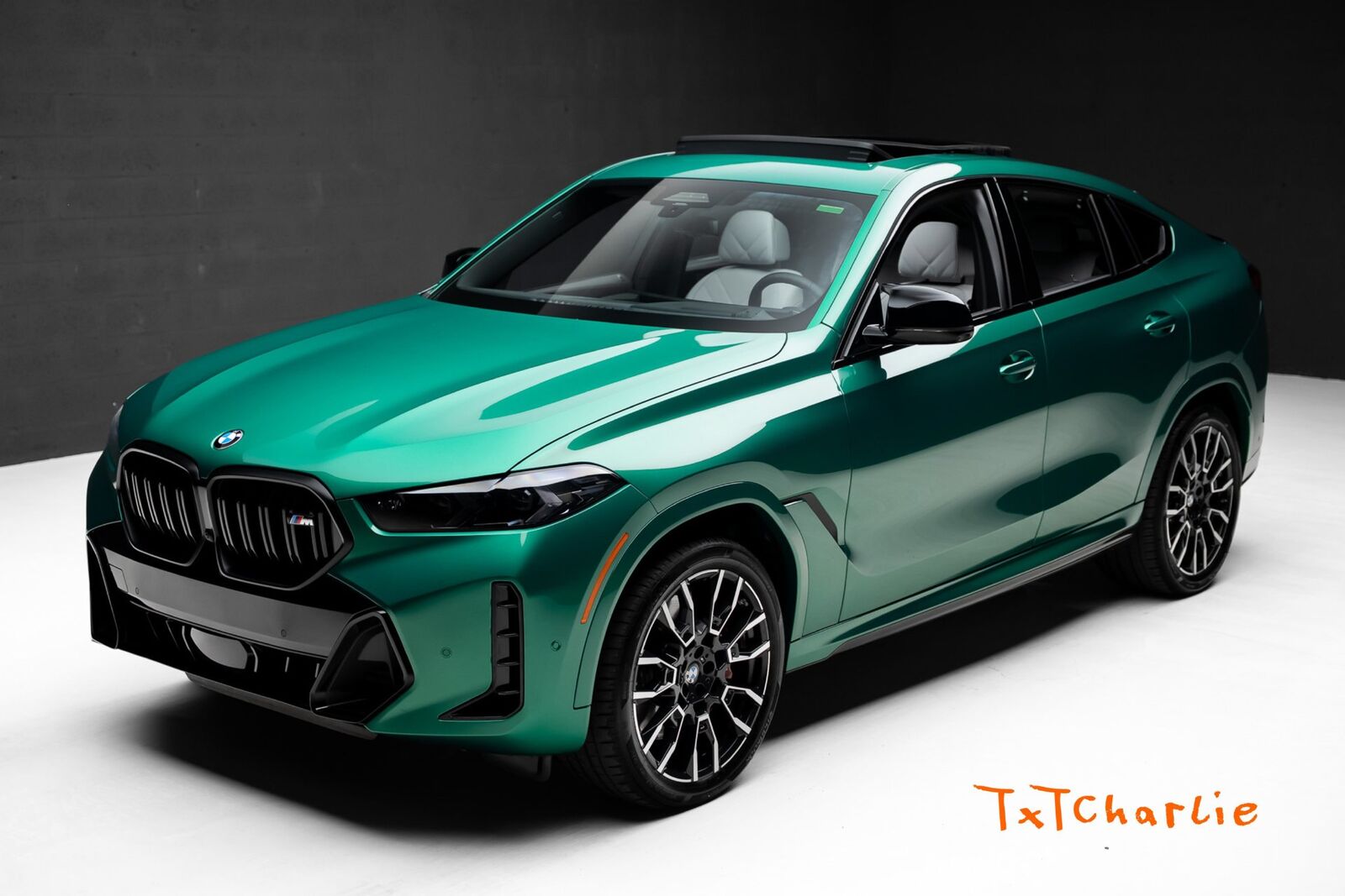2026 BMW X6