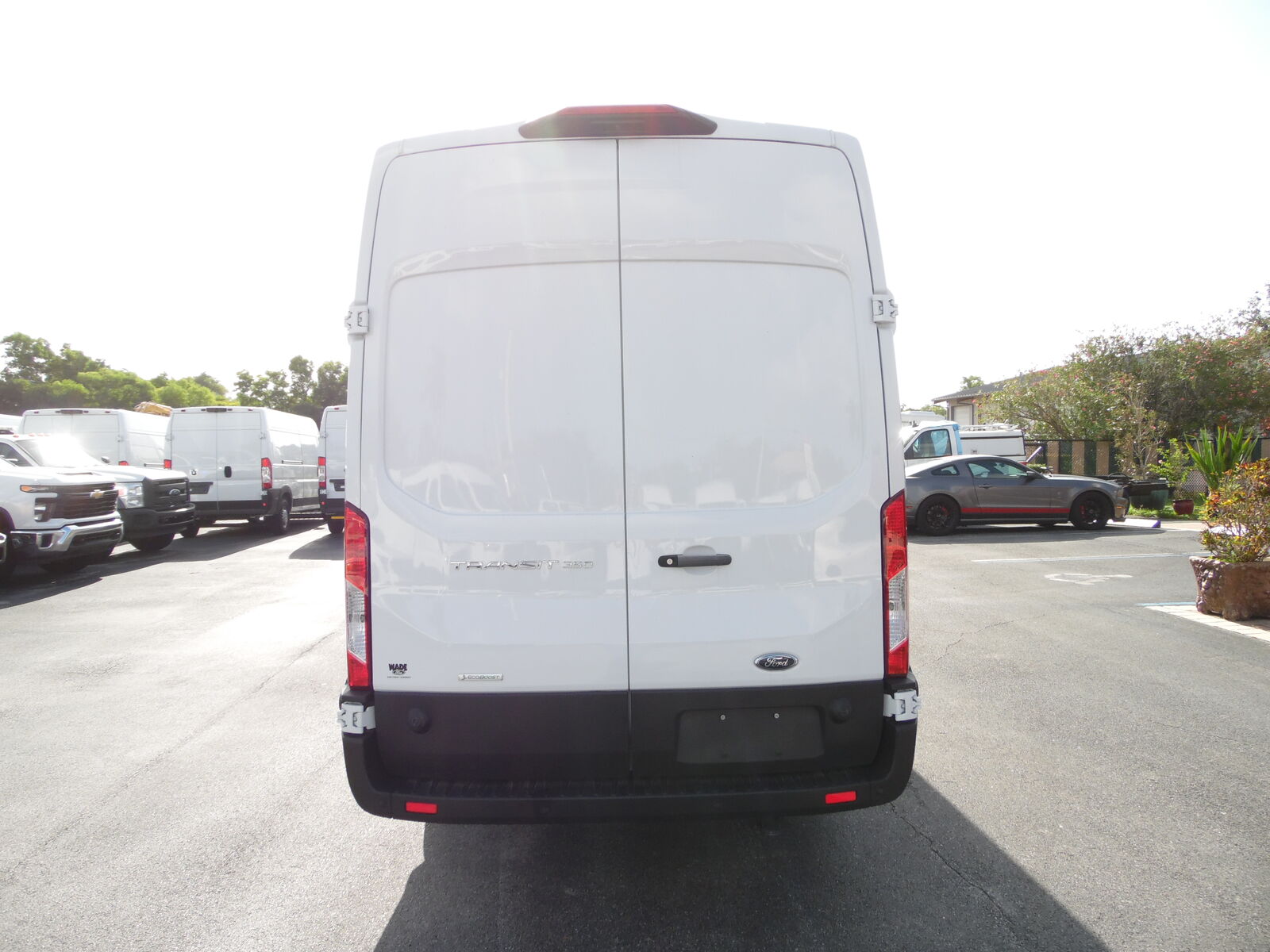 2024 FORD Transit