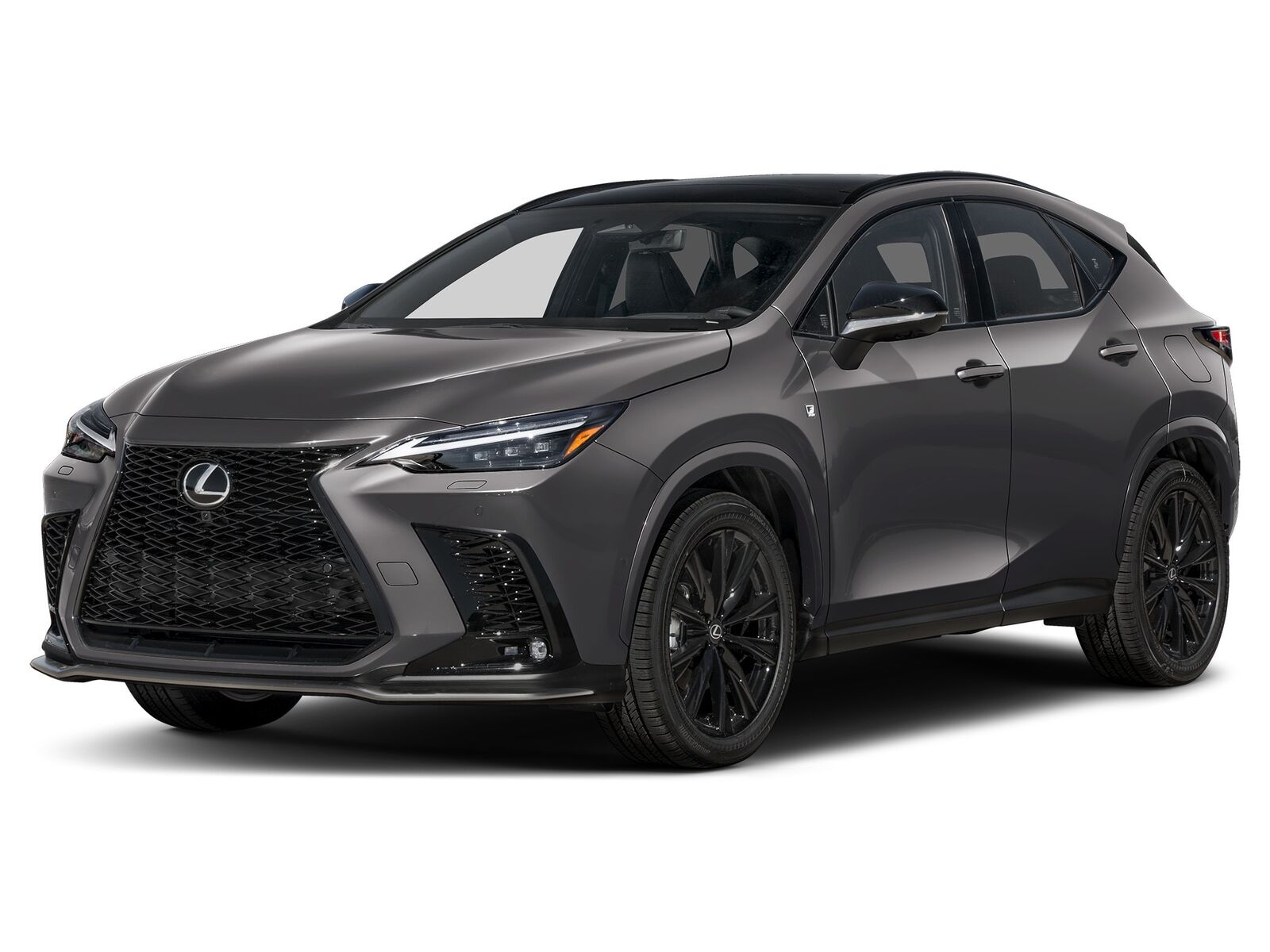 2026 LEXUS NX