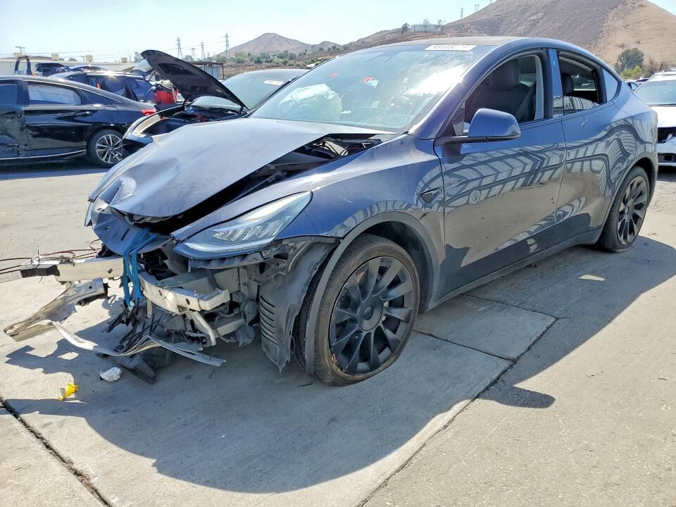 2021 TESLA Model Y