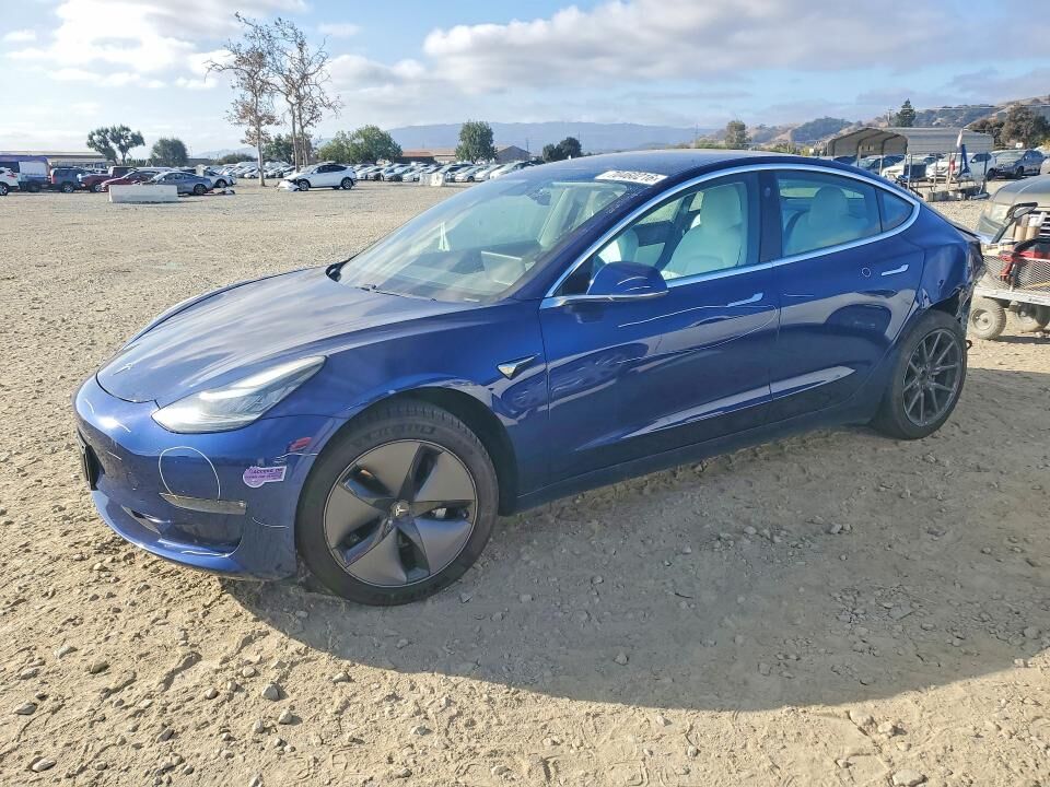 2019 TESLA Model 3