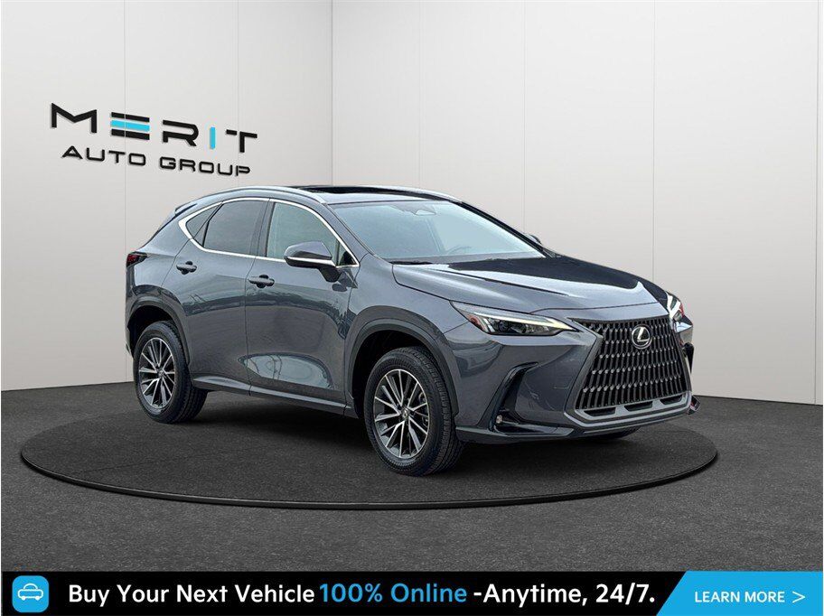 2024 LEXUS NX