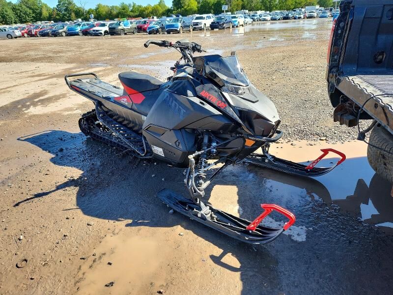 2024 ARCTIC CAT Arctic Cat