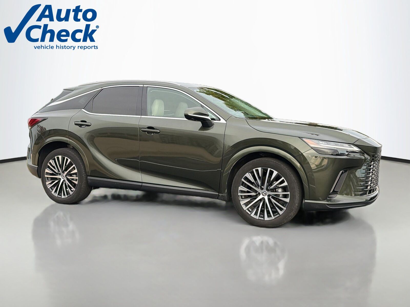 2024 LEXUS RX