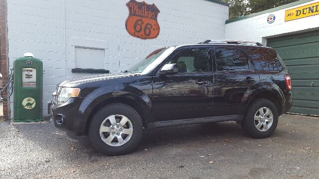 2009 FORD Escape