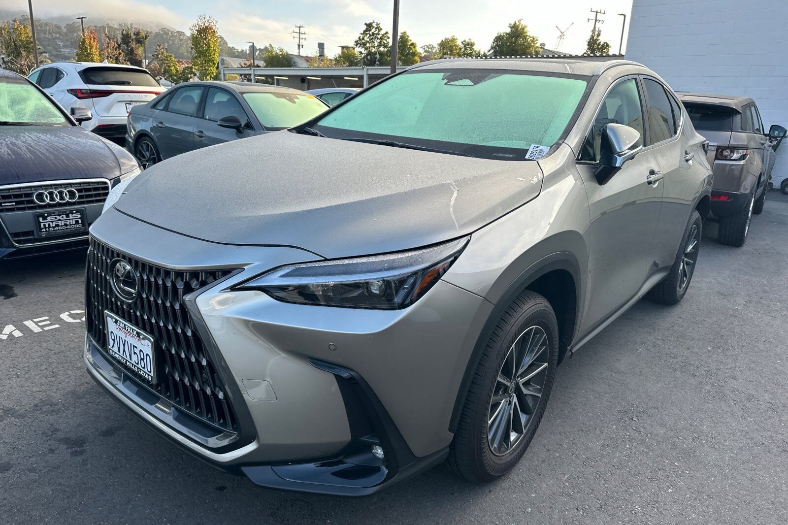 2026 LEXUS NX