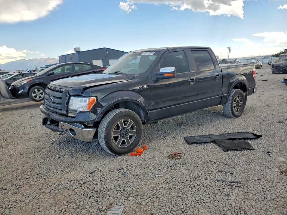 2009 FORD F-150
