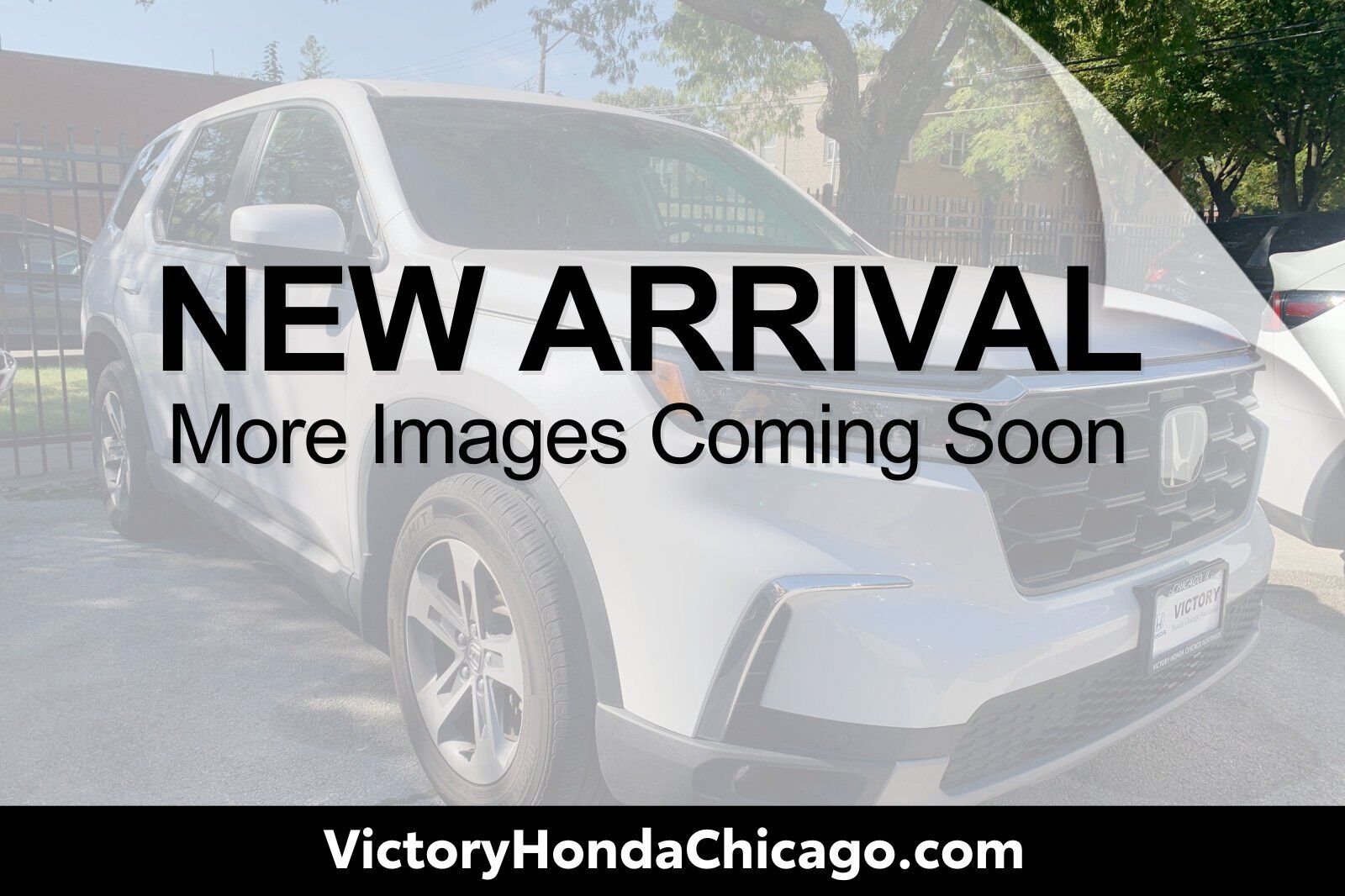 2023 HONDA Pilot