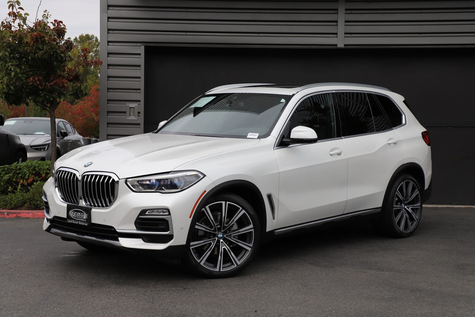 2019 BMW X5