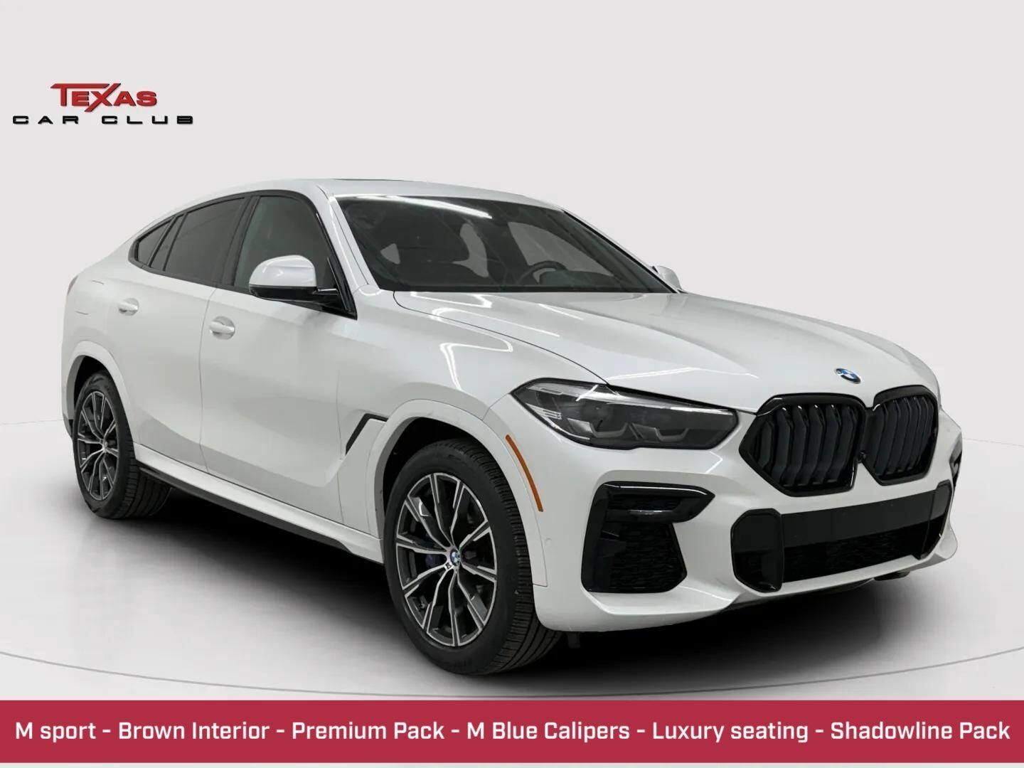 2023 BMW X6