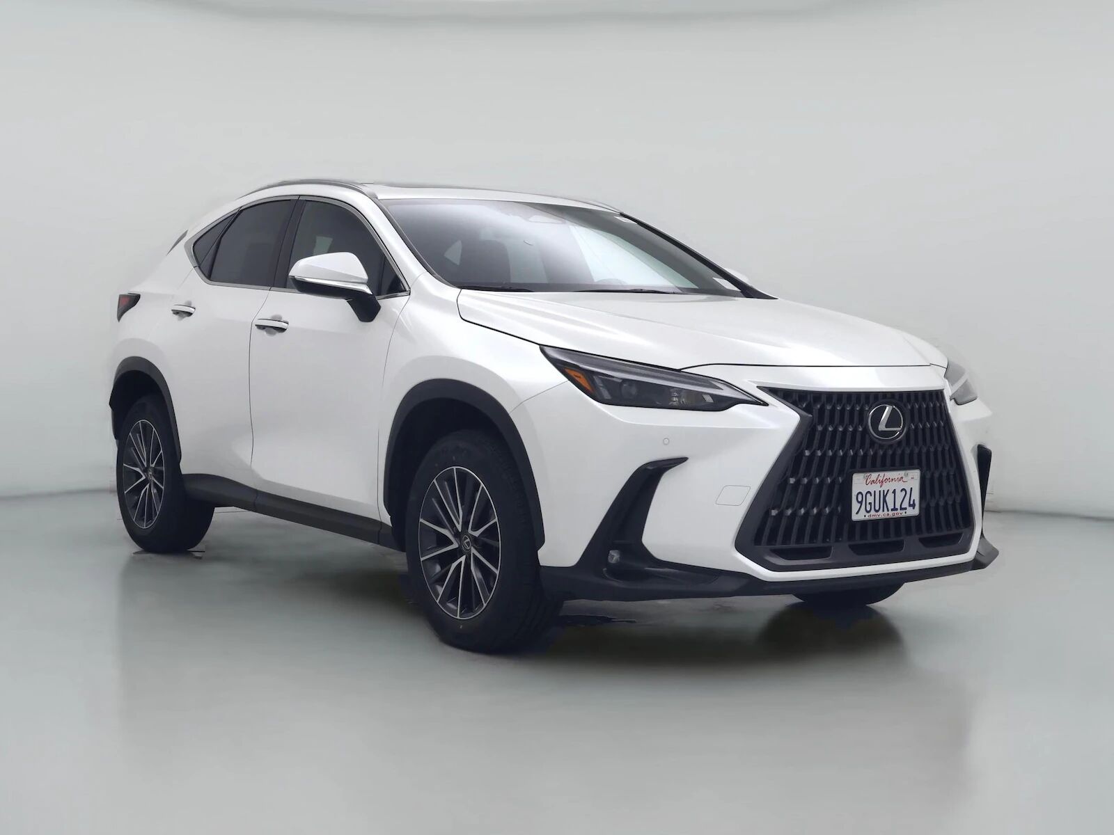 2024 LEXUS NX