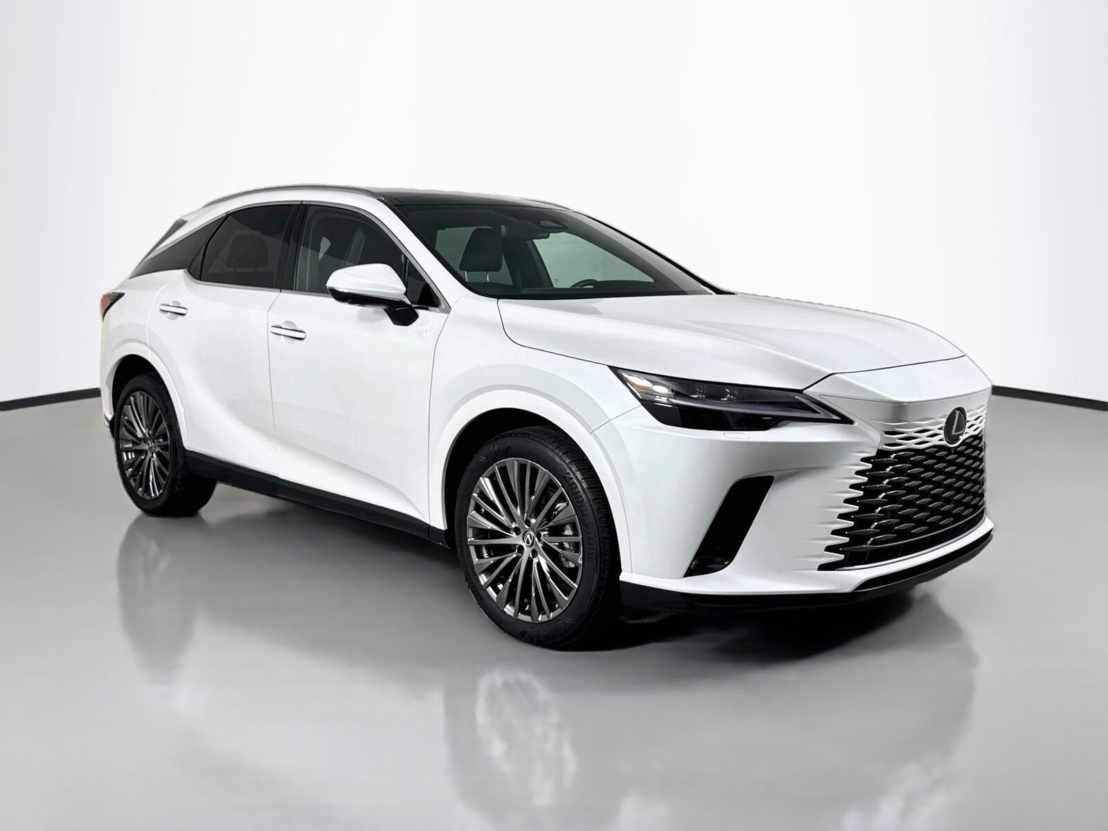 2024 LEXUS RX