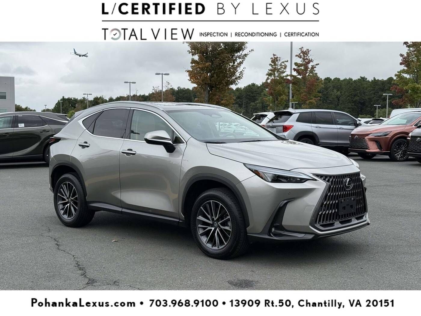 2026 LEXUS NX